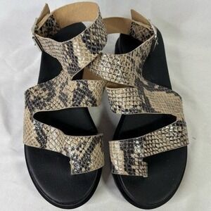 Free People Snake Print Platform Sandals Womens 36 Toe Loop Buckle Chunky Sole